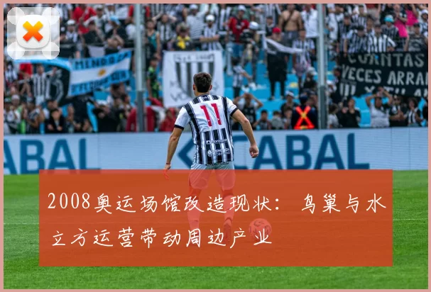 2008奥运场馆改造现状：鸟巢与水立方运营带动周边产业