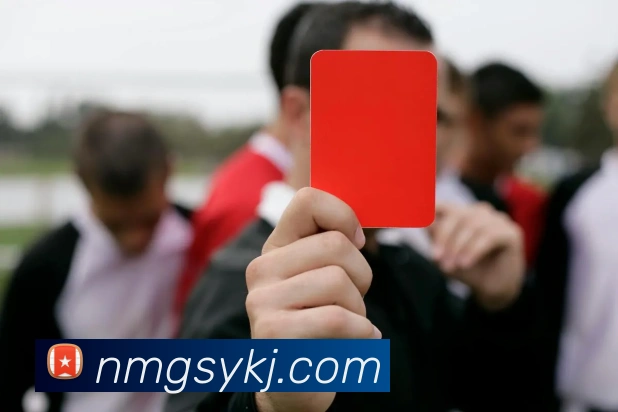 mksports官方网站登录入口APP 封面图