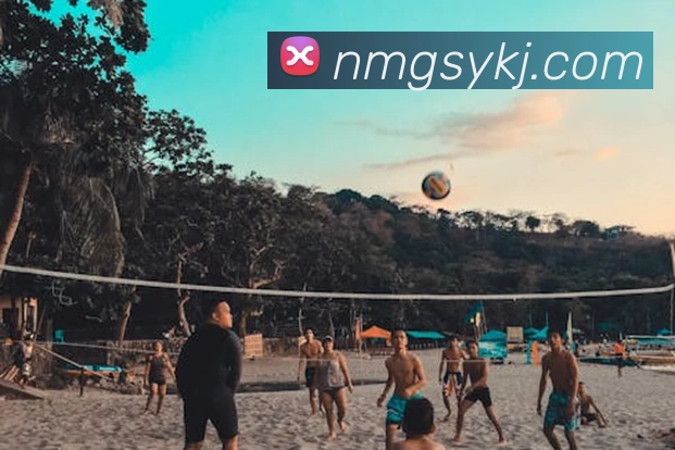 mksports官方网站登录入口全站App